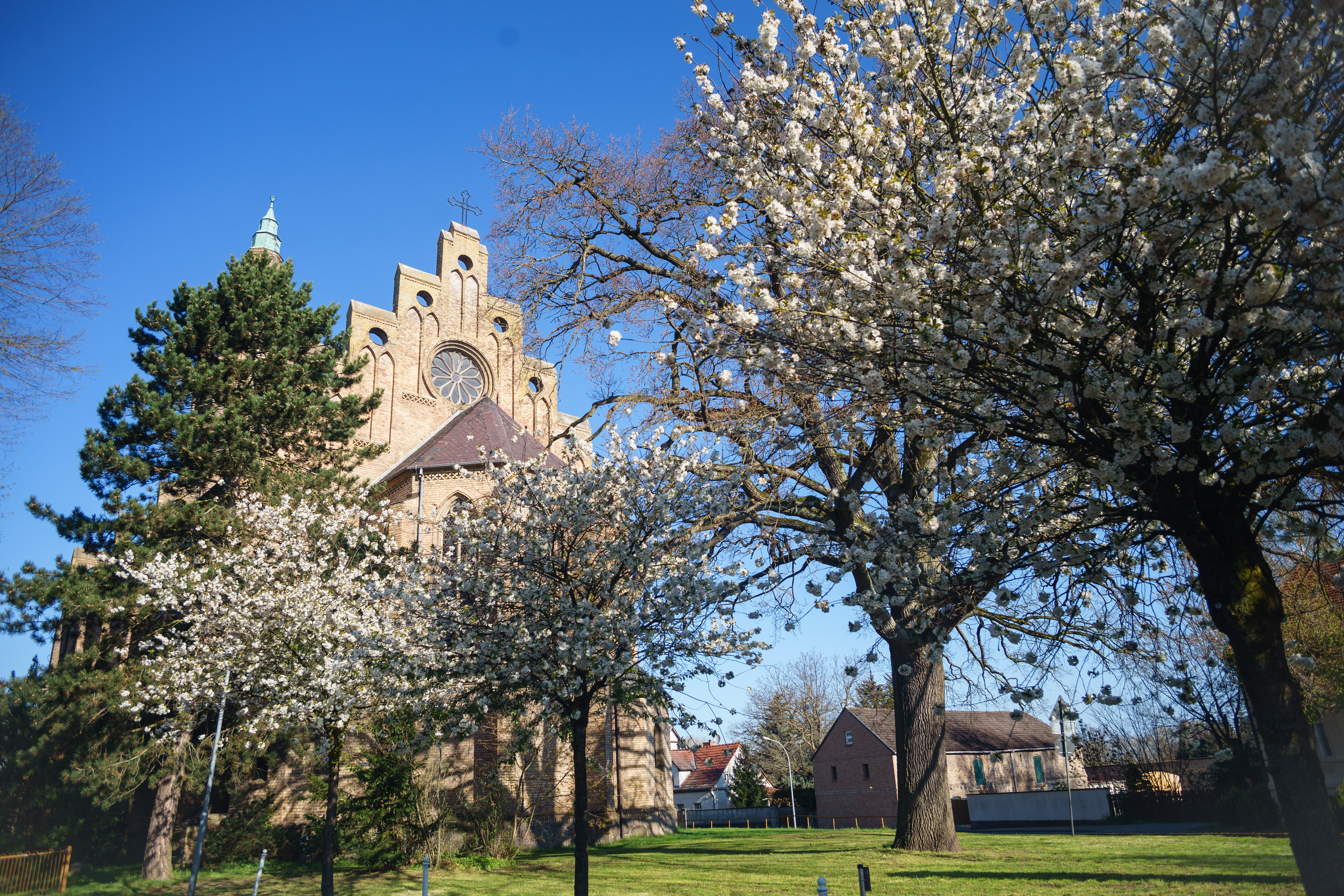 Fehrbellin-Kirche_mit_blühenden_Bäumen-Foto_Lukas_Freitag-Original.jpg