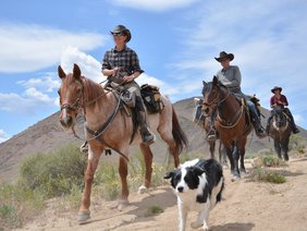 Günter Wamser und Sonja Endlweber auf ihren Mustangs mit Hund Charlie