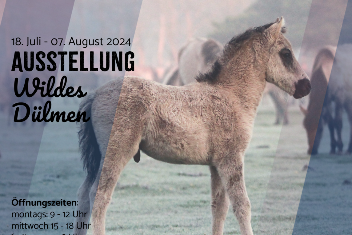 Bei der Ausstellung dreht sich alles um die Dülmener Wildpferde.