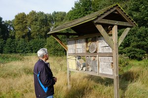 Mann vor Insektenhotel