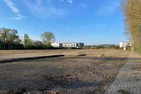 Dieses Foto zeigt die freigeräumte Fläche am Gausepatt