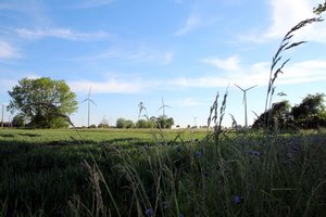 Dieses Foto zeigt Windräder im Stadtgebiet.