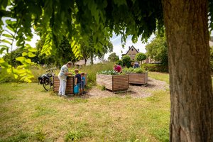 Das Bild zeigt Menschen, die an Hochbeeten mit Pflanzen arbeiten.