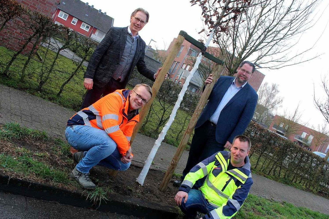 Dieses Foto zeigt den neu gepflanzten Baum am Dalweg