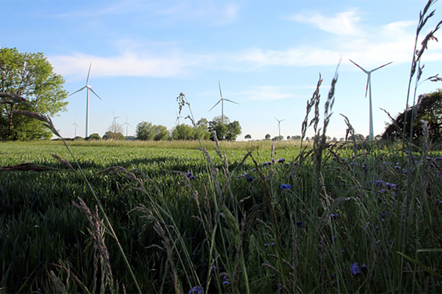 Windräder in der Landschaft